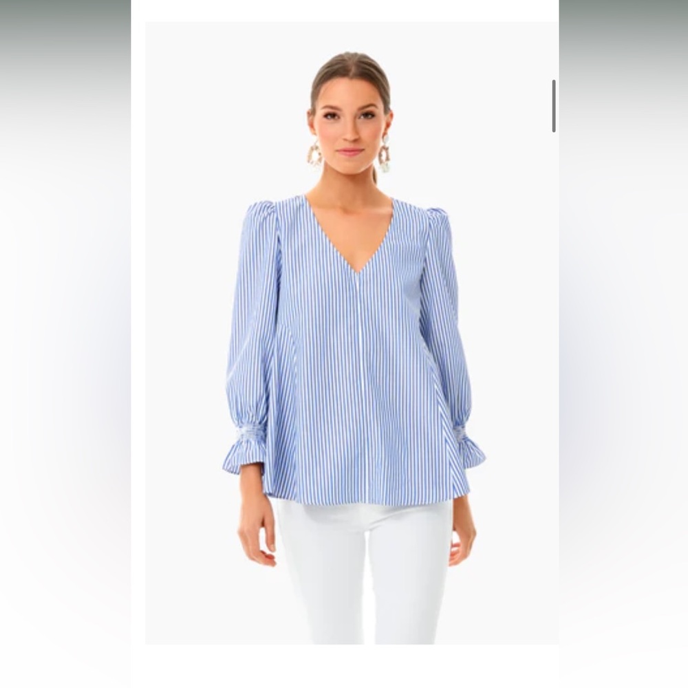 Tuckernuck Blue Stripe Easton Blouse